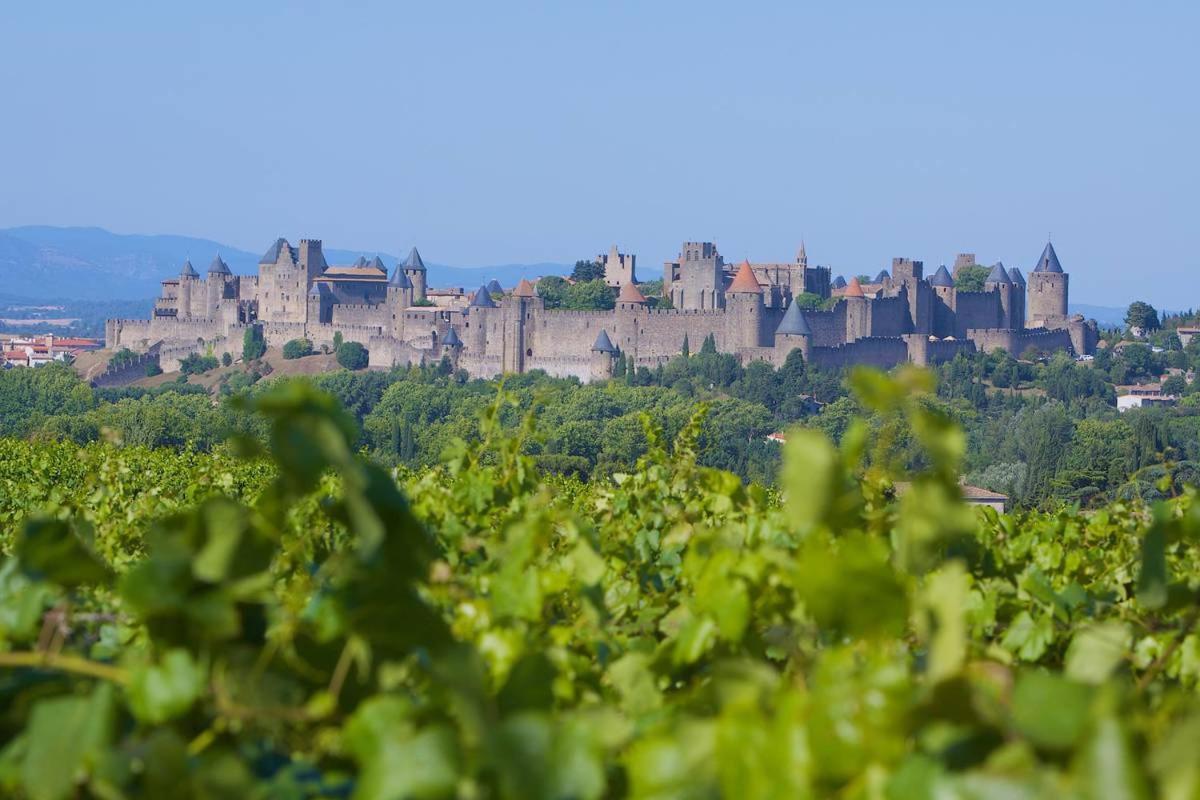 Ferienwohnung Tout Confort ! Climatisation, Calme, Piscine, Parking Gratuit, Terrasse, Wifi Carcassonne Exterior foto