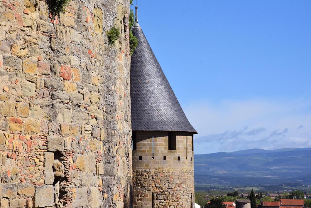 Ferienwohnung Tout Confort ! Climatisation, Calme, Piscine, Parking Gratuit, Terrasse, Wifi Carcassonne Exterior foto