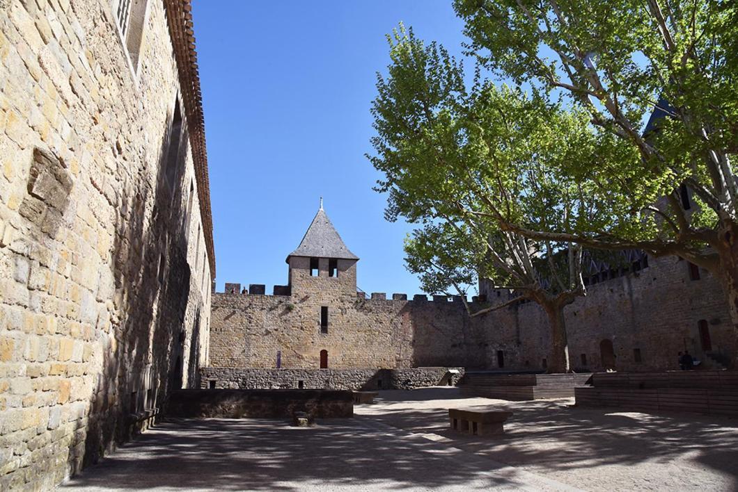 Ferienwohnung Tout Confort ! Climatisation, Calme, Piscine, Parking Gratuit, Terrasse, Wifi Carcassonne Exterior foto